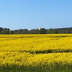 Reetdachtraeumchen 펜션 미델하겐