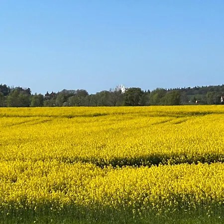 Reetdachtraeumchen Prázdninový dům Middelhagen